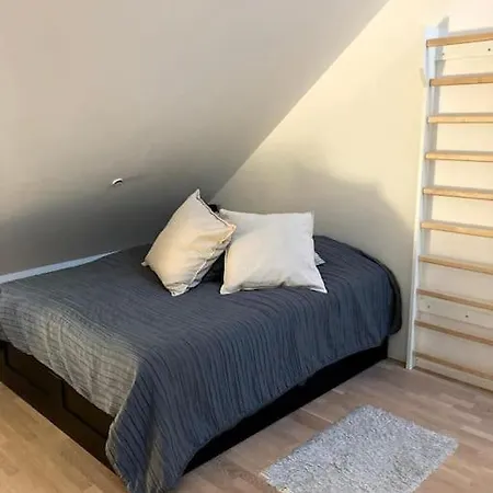 Luxurious 60m² Rooftop In Kallio Area Apartment Helsinki