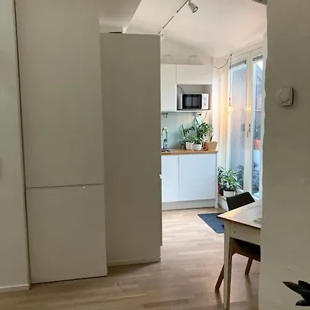 Luxurious 60m² Rooftop In Kallio Area Διαμέρισμα